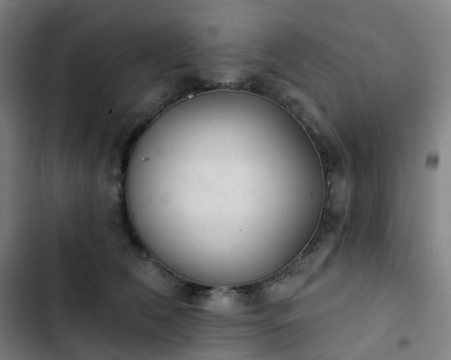 X0000103280612200809051532