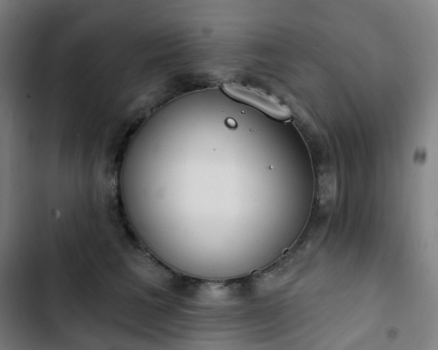 X0000103280613200809051532