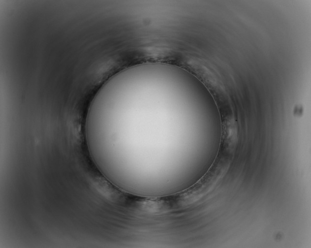 X0000103280615200809051532