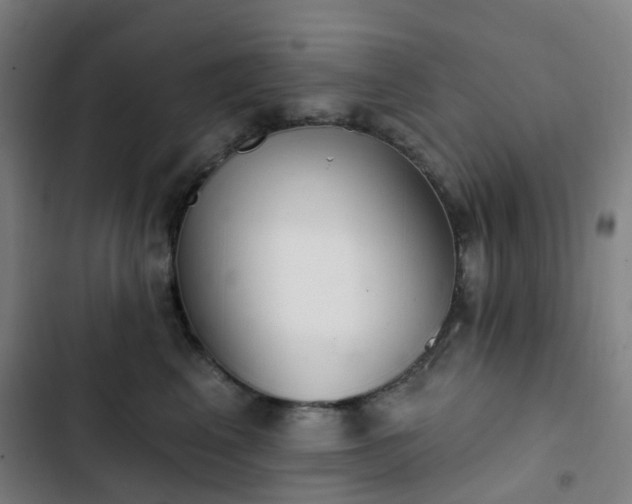 X0000103280617200809051532