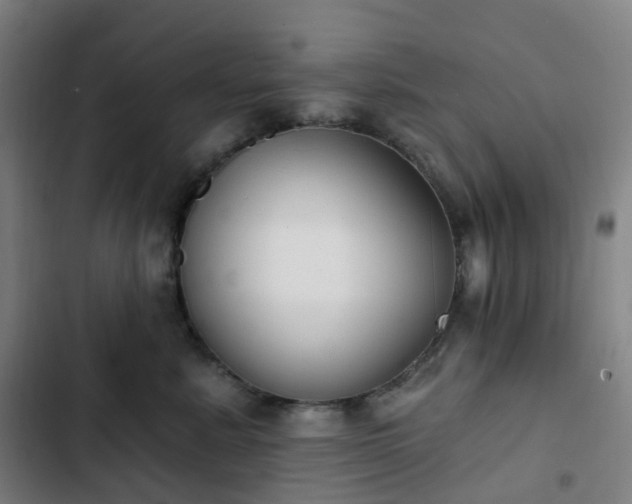 X0000103280619200809051532