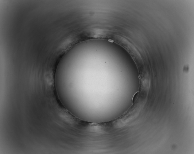 X0000103280620200809051532