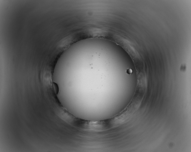 X0000103280622200809051532