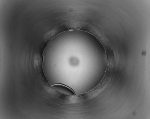 X0000103280623200809051532