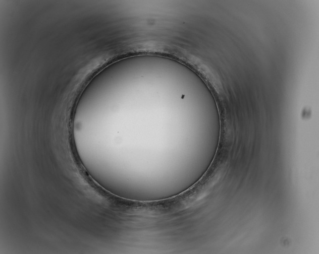 X0000103280625200809051531