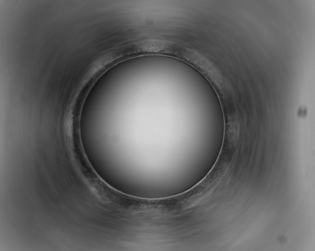 X0000103280626200809051531