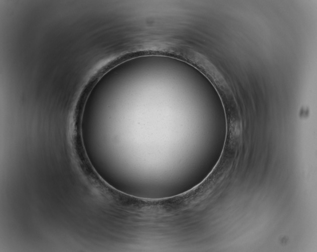 X0000103280628200809051531