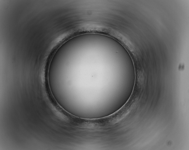 X0000103280629200809051531