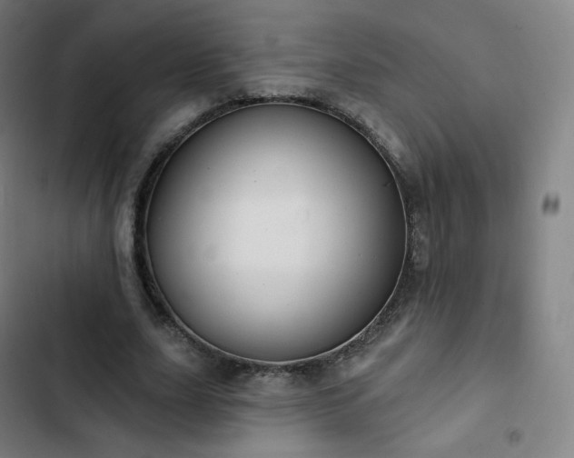 X0000103280631200809051531