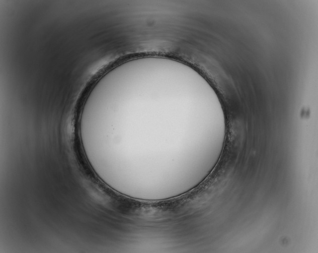 X0000103280632200809051531