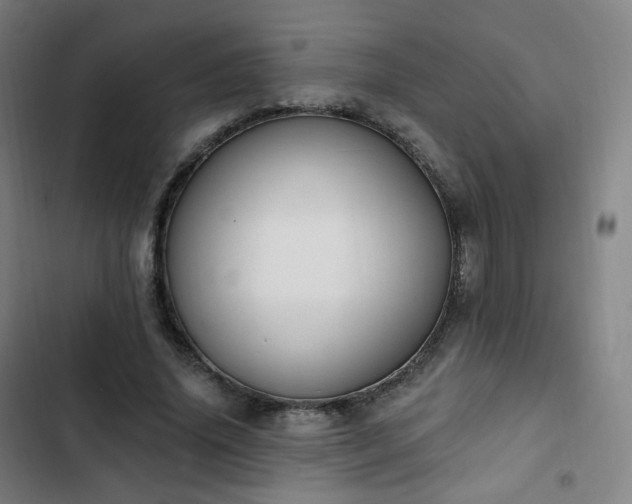 X0000103280636200809051531