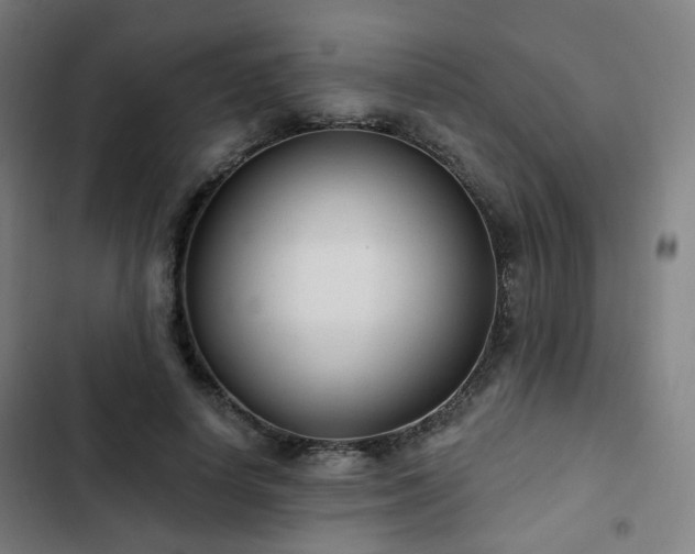 X0000103280642200809051531