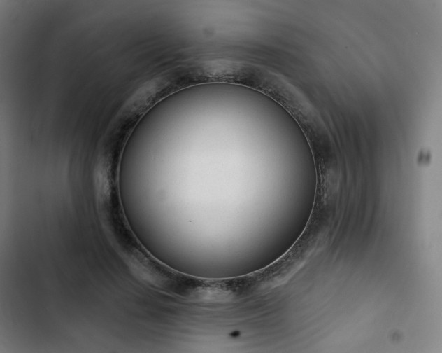 X0000103280644200809051532