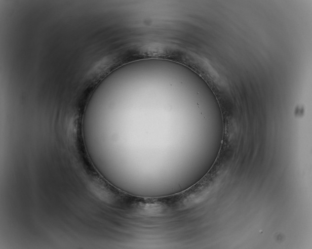 X0000103280645200809051532