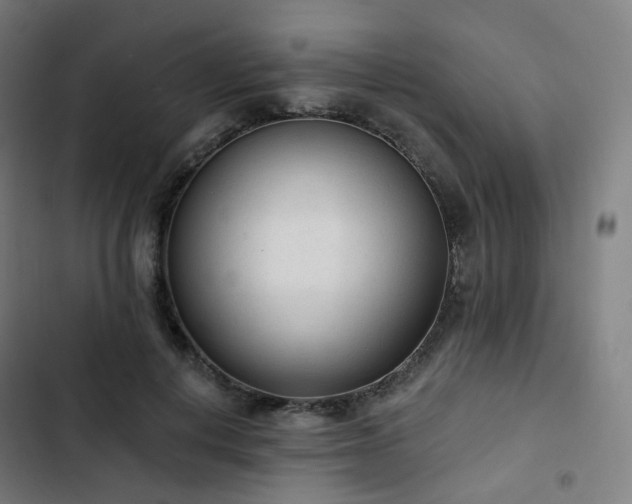 X0000103280648200809051532