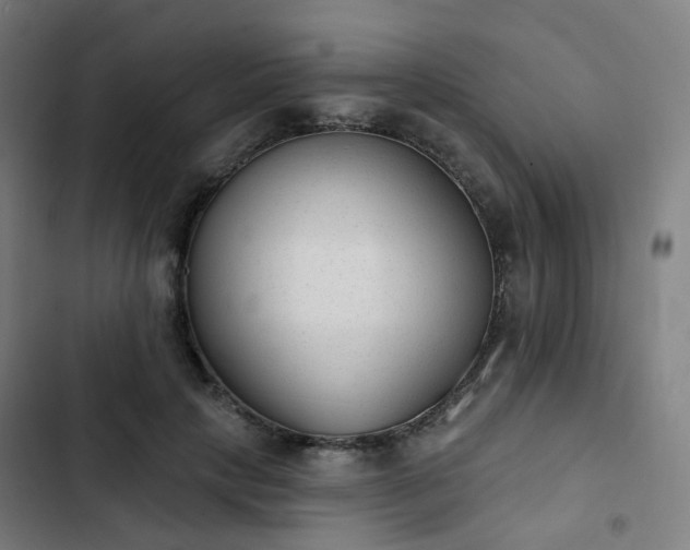 X0000103280649200809051532