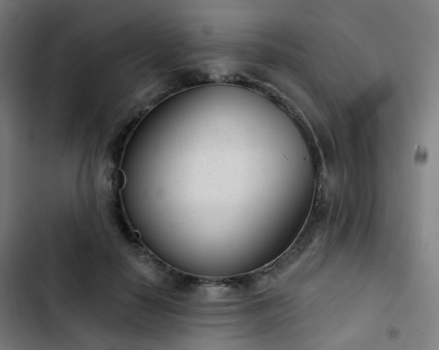 X0000103280650200809051532