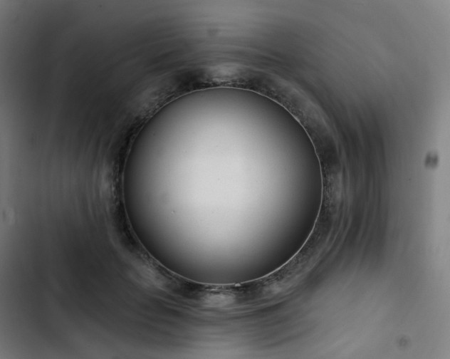 X0000103280653200809051532