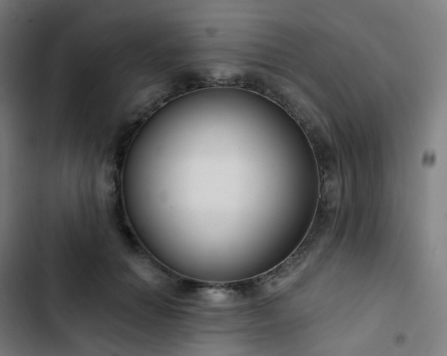 X0000103280654200809051532