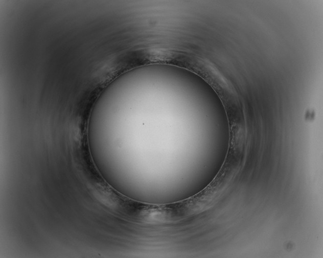 X0000103280655200809051532