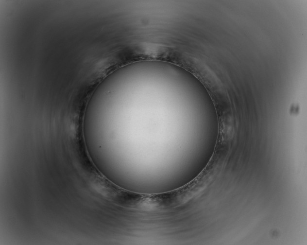 X0000103280656200809051532