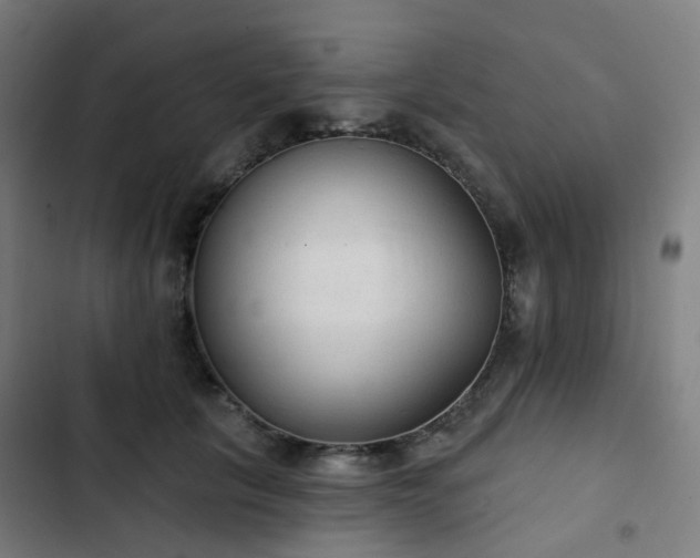 X0000103280657200809051532