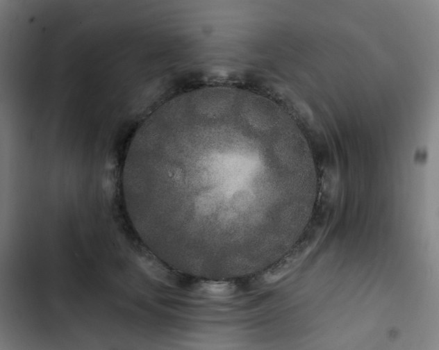 X0000103280659200809051532