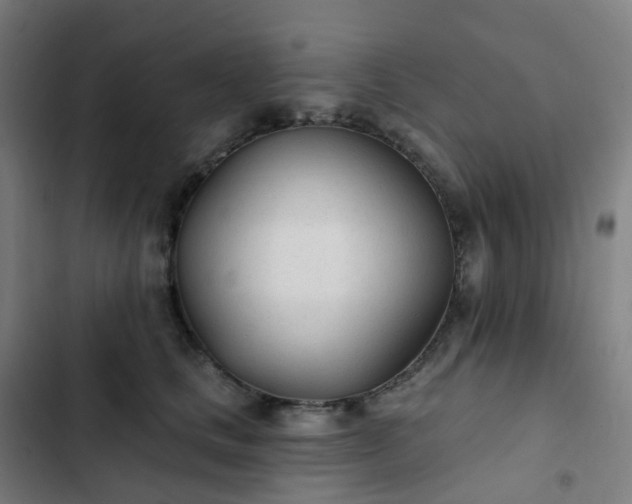 X0000103280661200809051532