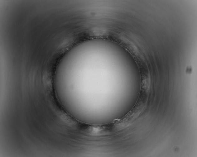 X0000103280662200809051532