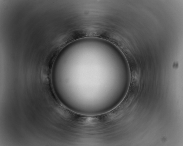 X0000103280663200809051532