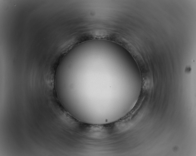 X0000103280666200809051532