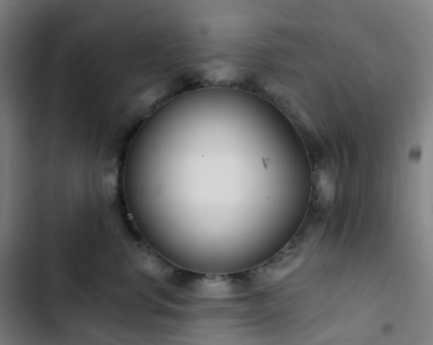 X0000103280668200809051532