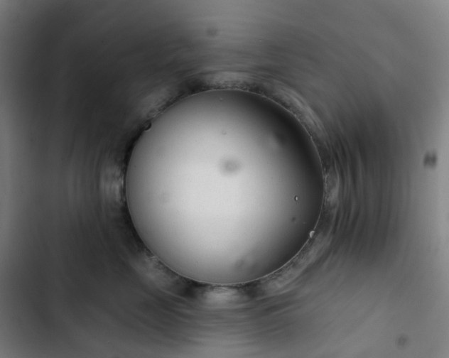 X0000103280669200809051532