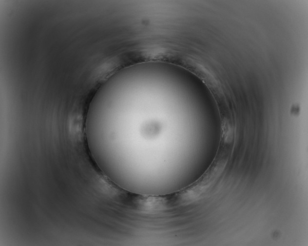 X0000103280670200809051532