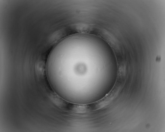 X0000103280671200809051532