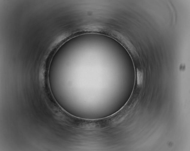 X0000103280675200809051531