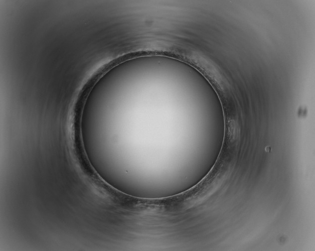 X0000103280676200809051531