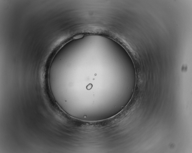 X0000103280679200809051531