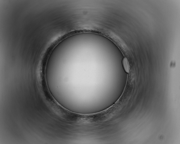 X0000103280680200809051531