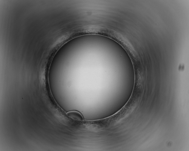 X0000103280681200809051531