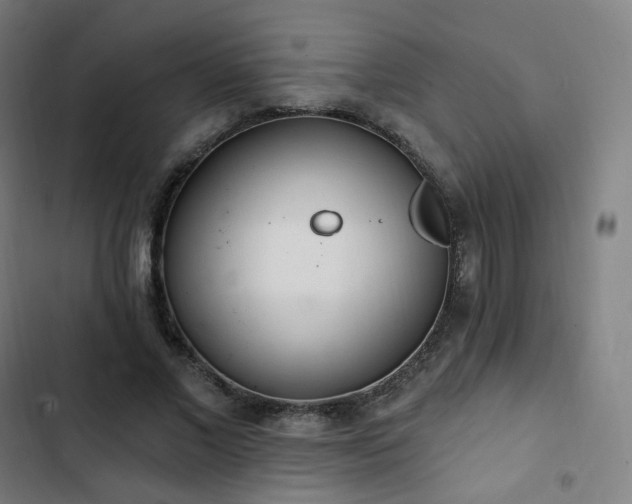 X0000103280685200809051531