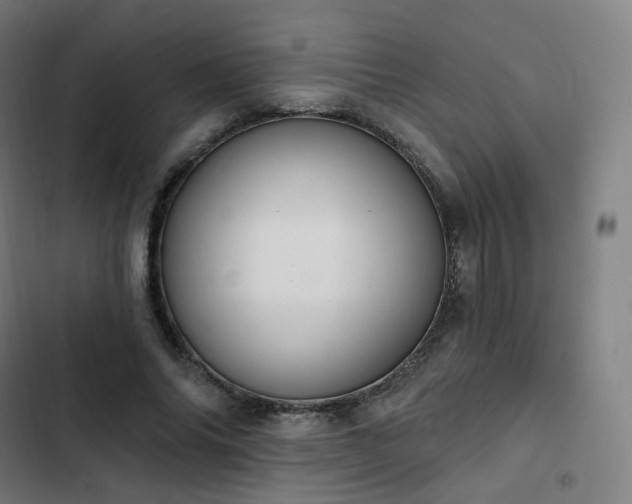 X0000103280686200809051531