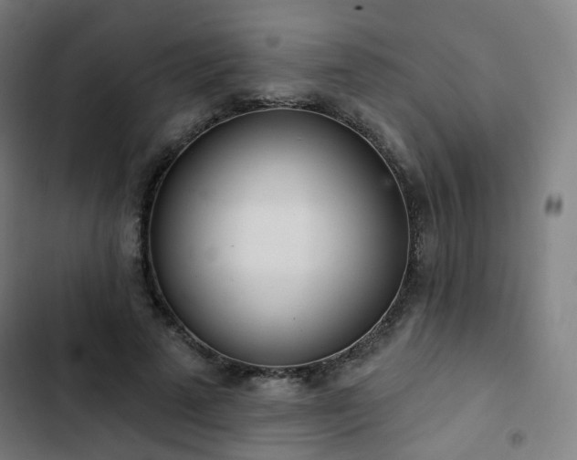 X0000103280689200809051531