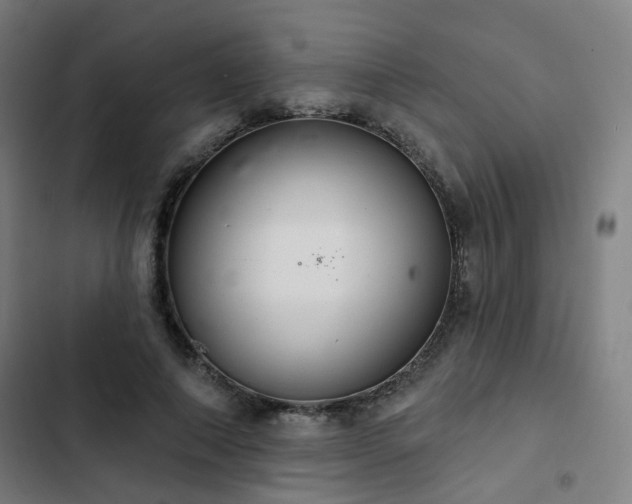 X0000103280690200809051531