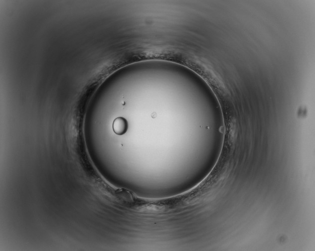 X0000103280691200809051531