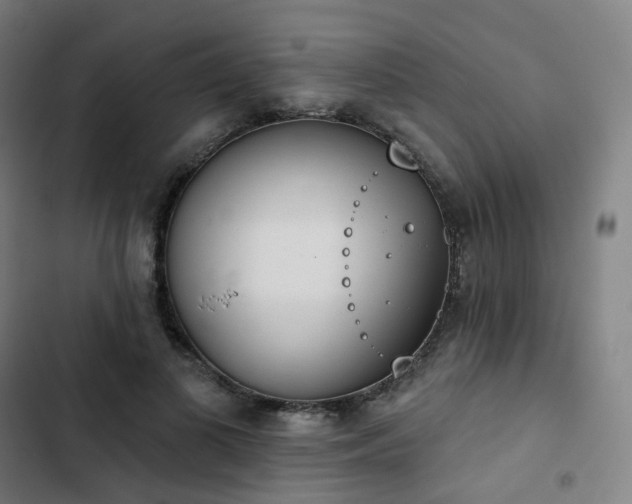 X0000103280693200809051531