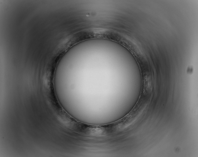 X0000103280698200809051531