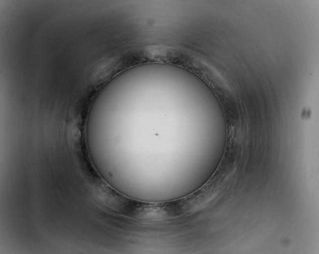 X0000103280702200809051531