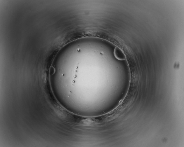 X0000103280703200809051531