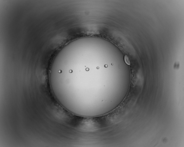 X0000103280704200809051531